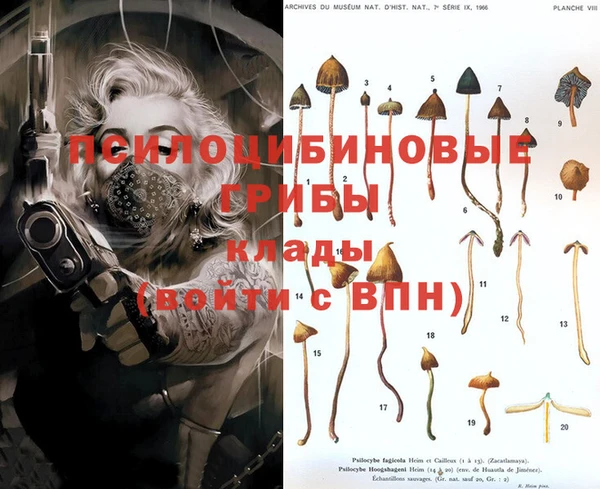 MDMA Premium VHQ Балабаново