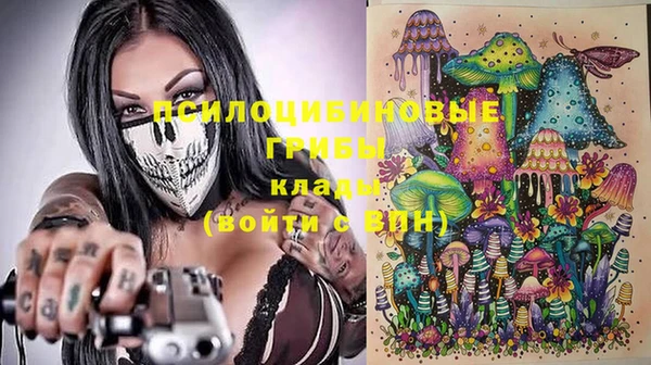 прущие крисы Балахна