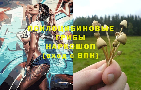 прущие крисы Балахна