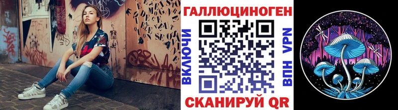 Галлюциногенные грибы Cubensis  Таштагол 